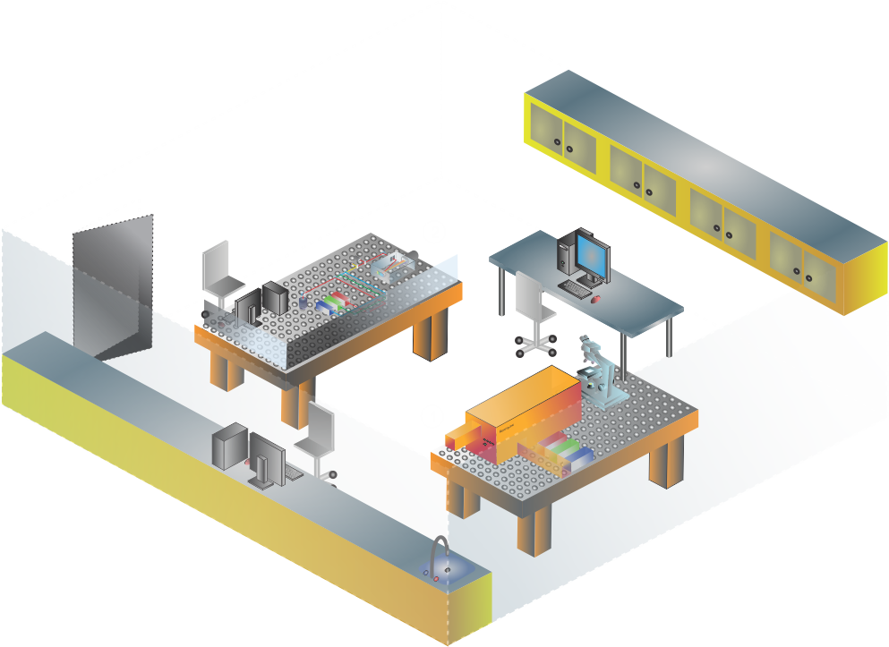 Laser Spectroscopy Facility