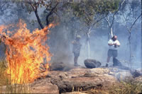 Biomass burning, Field campaign in Australia