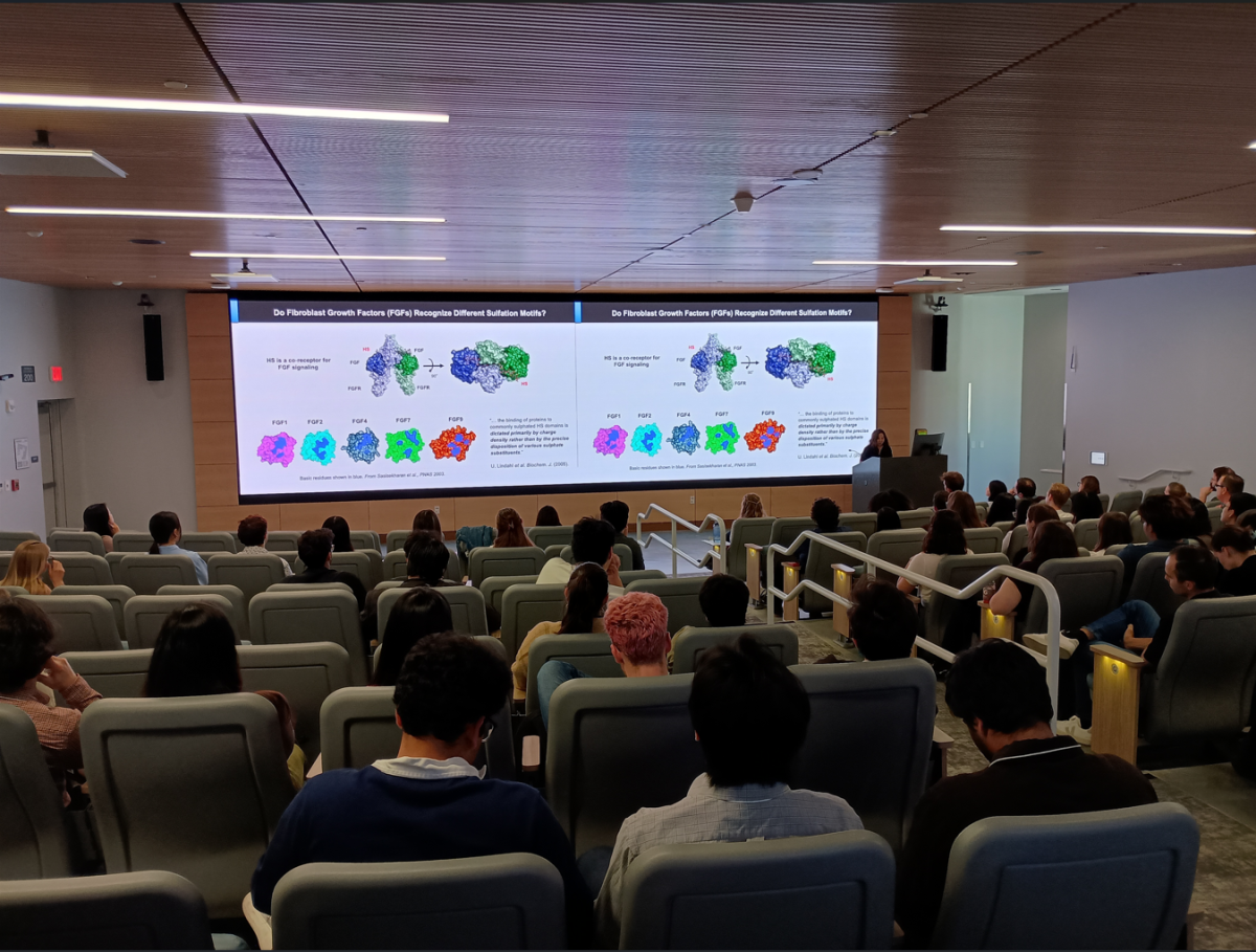keynote speaker giving lecture
