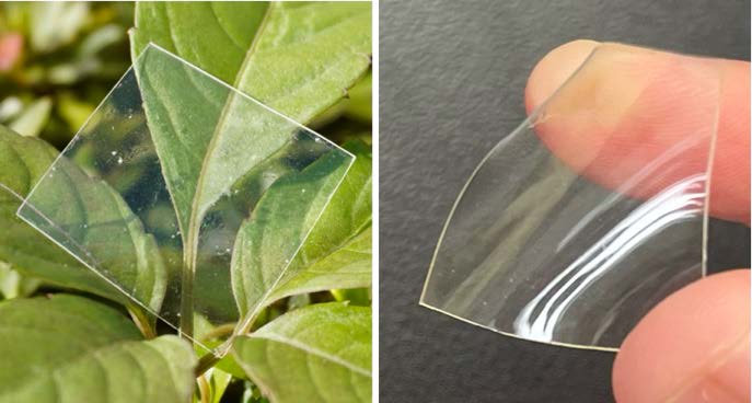 Figure 1. Pictures of supramolecular plastics