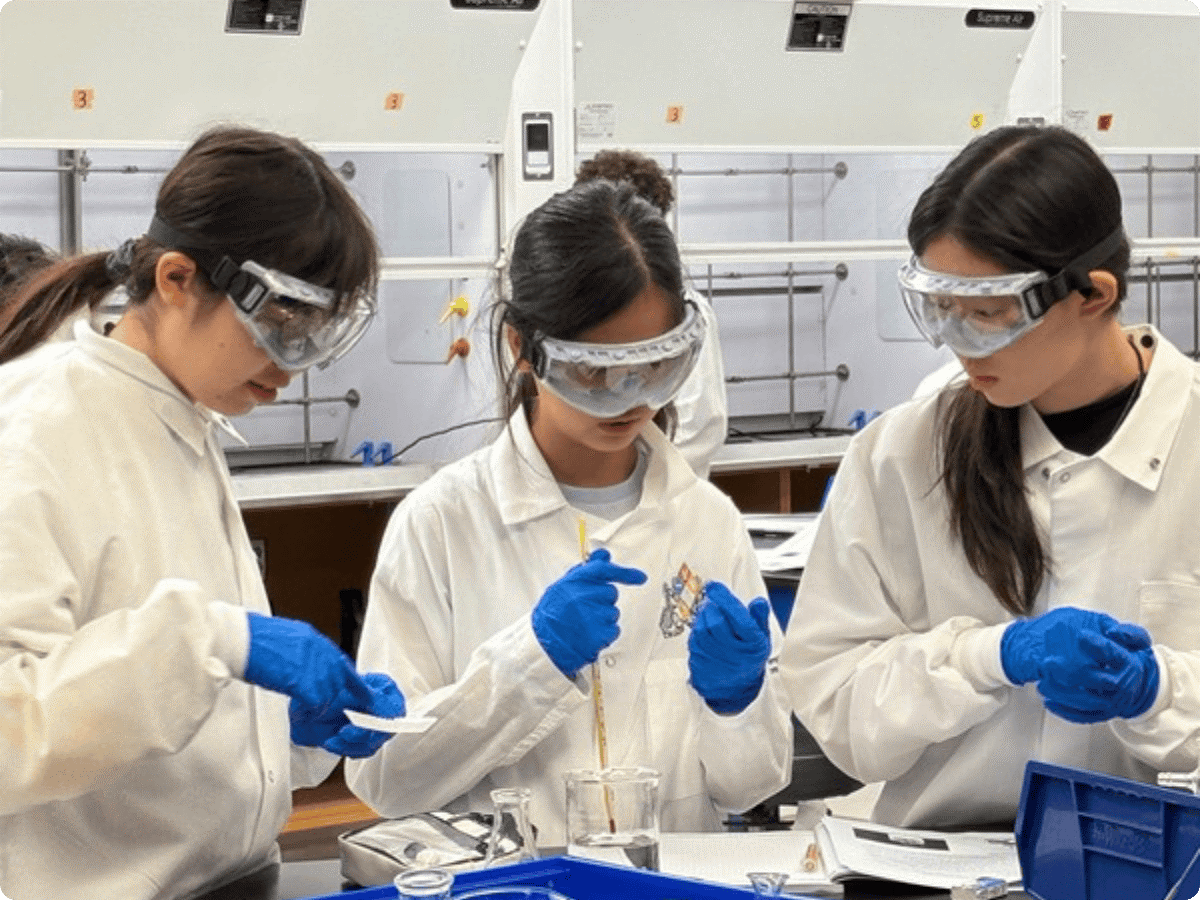students working in the lab