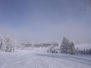 mammoth 12082007 024