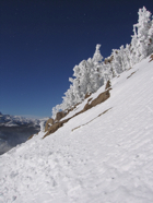 mammoth 12082007 040