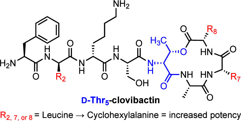 Table-of-contents graphic: the chemical structure of D-Thr5-clovibactin, showing leucine to cyclohexylalanine substitutions that increase potency.