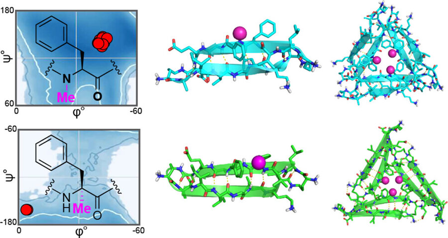 Ramachandran plots beside cyan and green crystal structures of a beta-hairpin peptide and the triangular trimer it assembles into, with bound ions shown as magenta spheres.