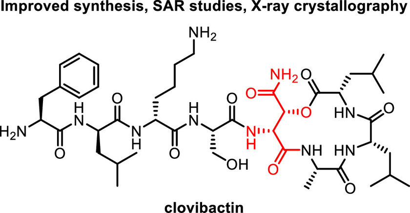 Table of contents figure for Structure-Activity Relationship Studies of the Peptide Antibiotic Clovibactin