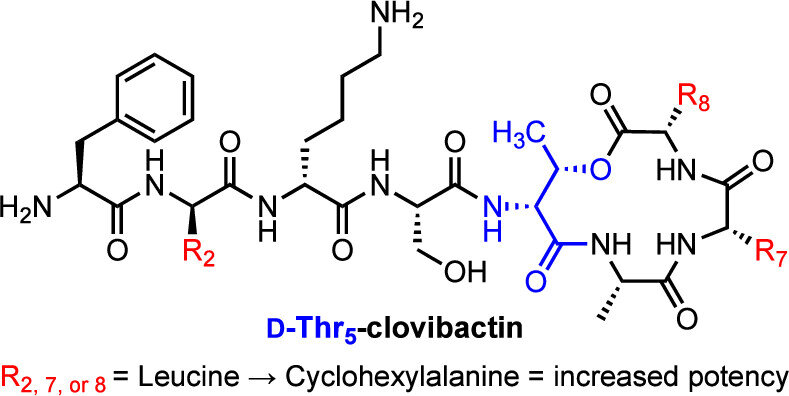 Table of contents figure for Potent Analogues of Clovibactin from Commerically Available Amino Acid Building Blocks
