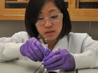 Labs and lectures 2013